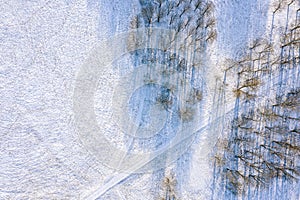 Winter scenery with frozen trees and footpaths, covered by snow. aerial top view