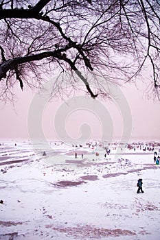 Winter scenery of ice and snow