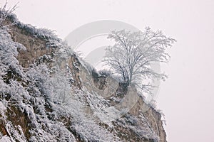 Winter Scenery of the Loess Plateau