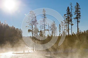 Winter in the Madison River inf Yellowstone National Park