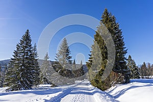 Zimná scenéria v horách. Okolie Oravice. Tatry. Slovensko