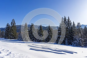 Zimná scenéria v horách. Okolie Oravice. Tatry. Slovensko