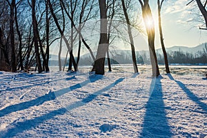winter scenery near the river