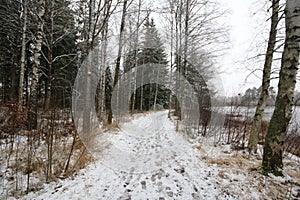 Winter scenery in Nybro Sweden