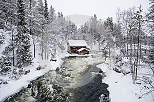 Winter scenery in Oulanka National Park. Ruka, Finland. photo