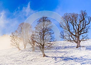 Winter scenery in the ski resort Soll, Tyrol