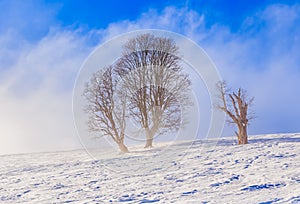 Winter scenery in the ski resort Soll, Tyrol