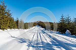 Winter scenery with snow covered road, trees around, hill on the background and clear sky