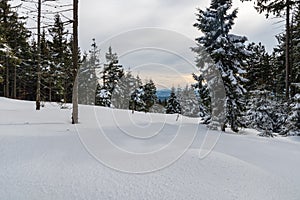 Winter scenery with snow, trees, hills on the background and cloudy sky on Zimny hill in Moravskoslezske Beskydy mountains in