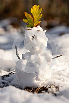 Sunny winter scenery, snowman in the woods, snow on the branch