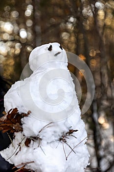Sunny winter scenery, snowman in the woods, snow on the branch