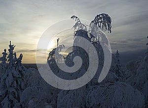 Winter scenery Vuokatti Sotkamo Finland