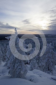 Winter scenery Vuokatti Sotkamo Finland