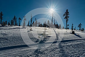 Winter scenery with well-prepared cross-country skiing trail, clear sky and sun in Kralicky Sneznik mountains in Czech republic