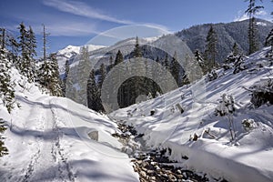 Winter scenery of the Western Tatra Mountains. Chocholowska glade area