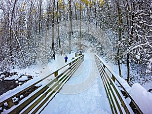 Winter scenes at south mountain state park in north carolina