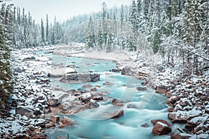 Winter scenes from Yoho National Park, Canada