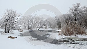 Winter scenic of the River Krynka, Donetsk region, Ukraine.