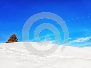 Winter Scenics Abstract