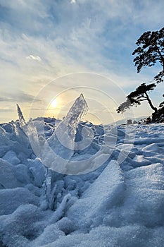 Winter sea sunset. Panoramic view of the snow-covered shore of the frozen sea, the lake at sunset. Shards of ice close-up.