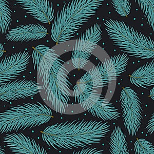 Winter seamless pattern with conifer blue pine tree branches photo