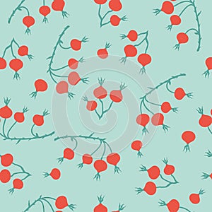 Winter seamless pattern with stylized rose hips