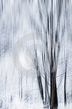 Winter season abstract nature art print and Christmas landscape holiday background, snowy magical forest as luxury brand postcard