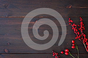 Winter season and Christmas background. Branches of dog rose with rose hip and red barberry on rustic dark brown wooden table.