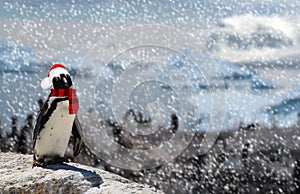 Winter season concept a funny penguin standing on a rock wearing a santa claus hat and scarf while snowing and a family of penguin