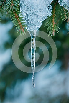 Winter season details of stalactite ice photo