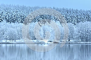 Winter season in Europe .Snowy forest by the lake.