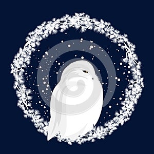 Winter season frame made of pine tree branches and white snowy owl vector design