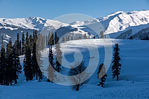 Winter season, Gulmarg is a town, a hill station, a popular tourist & skiing destination, Kashmir, India