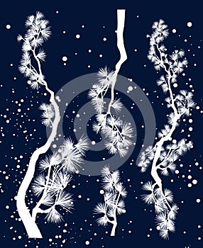 Winter season pine tree branches vector silhouette set