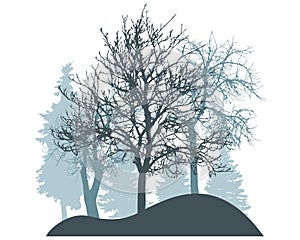 Winter season, silhouette of snowy fir trees, bare trees. Beautiful nature, woodland. Vector illustration