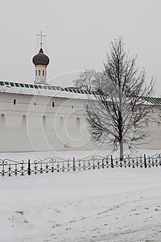 Winter season. Snow in the air. Novospassky monastery white wall, Russian Orthodox church black dome and naked tree during snowfal