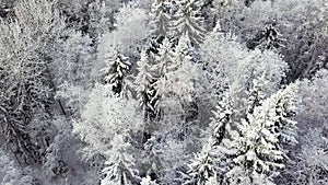 Winter season snowy mountain forest aerial shot