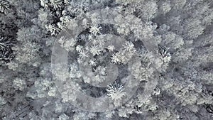 Winter season snowy mountain forest aerial shot