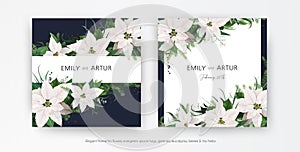 Winter season wedding floral invite, invitation, greeting card editable vector template set. White Poinsettia flowers, Christmas