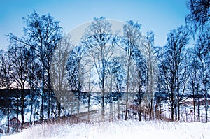 Winter seasonal landscape