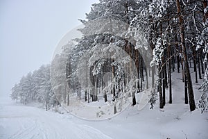 Winter in Serbia Zlatibor 2017