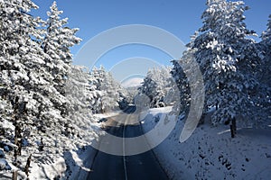 Winter in Serbia Zlatibor 2017