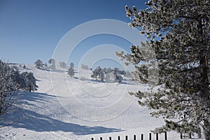 Winter in Serbia Zlatibor 2017