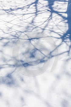 Winter shadow. Winter background. Snow background.