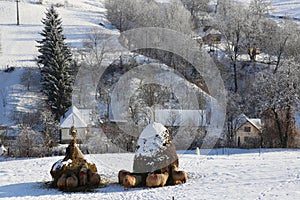 Winter sheep in snow at haystacks