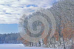 Winter Shoreline Eagle Lake