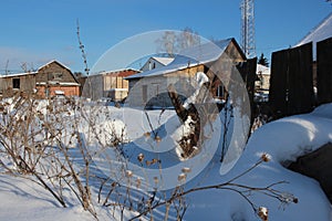 Winter in Siberia village houses in snow with dry grass
