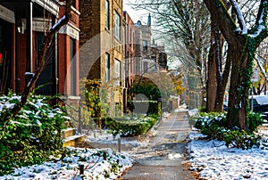 Winter Sidewalk Scene in Lincoln Park Chicago during the Day