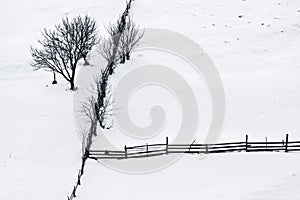 Winter silence with trees and wooden fence
