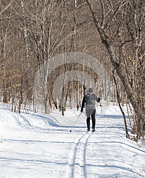 Winter Ski Activity at Arrowhead Park in Muskoka Ontario Canada